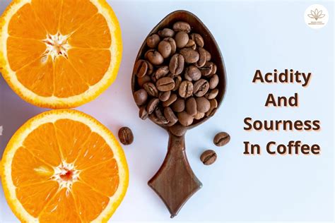 Factors Affecting the Acidity of Coffee