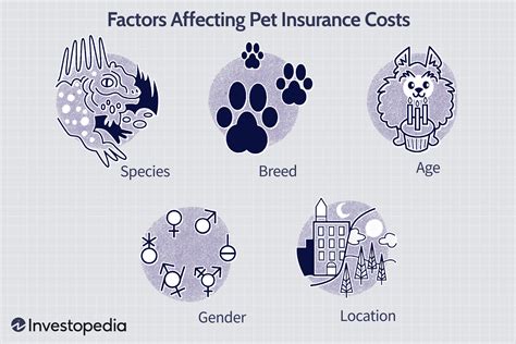 Image depicting factors that influence pet insurance premiums