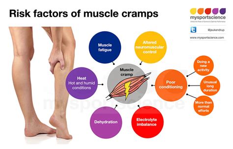 Factors Influencing Cramp Duration