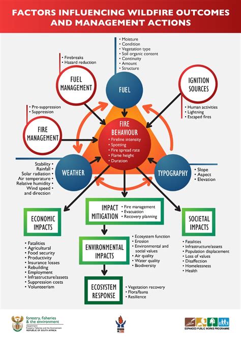 Factors Influencing Fire Pit Temperature