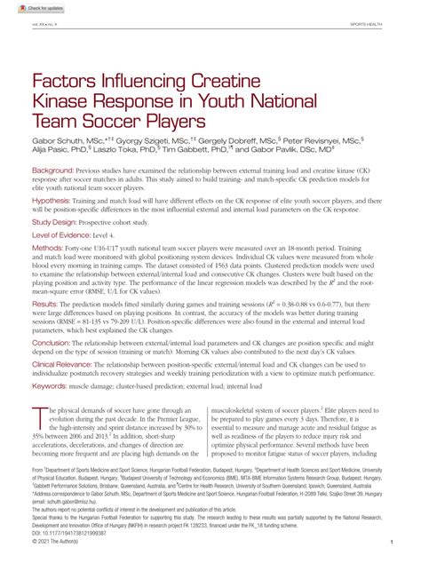 creatine and hair loss