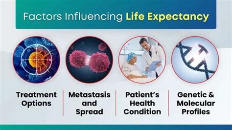 Factors Influencing Life Expectancy in Final Stages