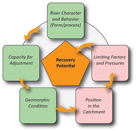 Factors Influencing Recovery and Potential Permanence