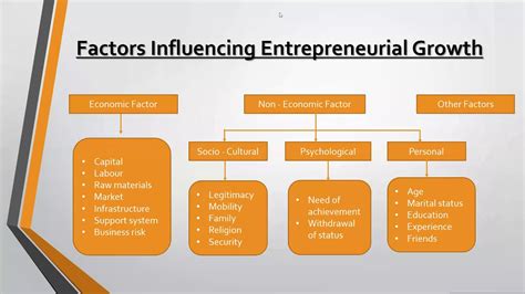 Factors That Affect Entrepreneurial Income