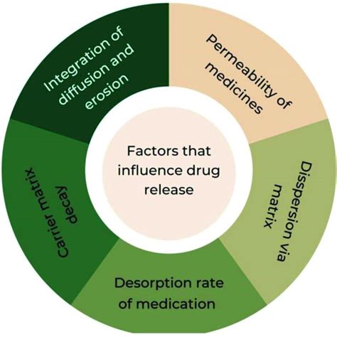 Factors That Influence Release Time