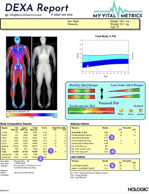 Factors That Influence Your DEXA Scan Frequency