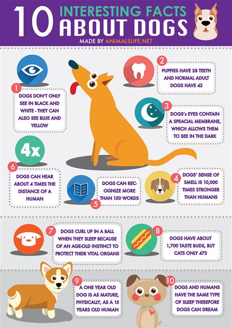 Facts About Dogs And Humans