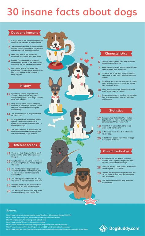 Facts About The Dogs