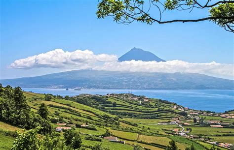 Faial Island Tourism