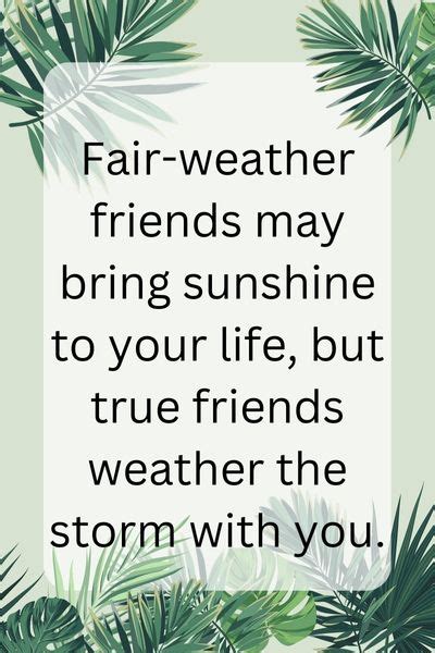 Fair-Weather Friend Quotes Image