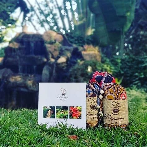 Fairview Coffee Estate Review