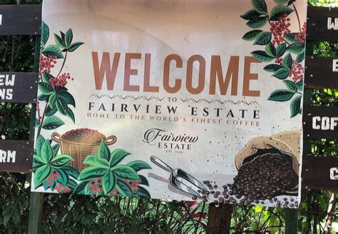 Fairview Coffee Farm Entrance