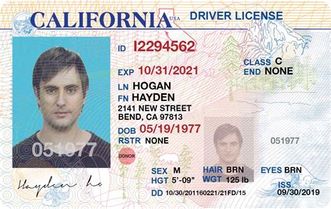 Fake Drivers Licence Template