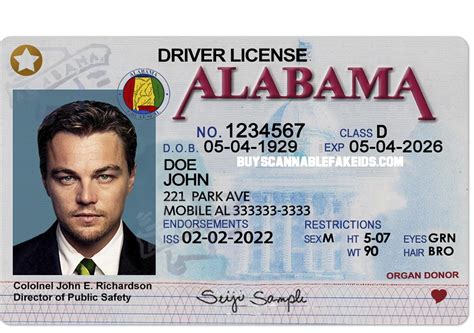 Fake Drivers License