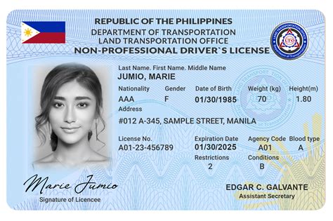 Fake Philippine Driver s License Number