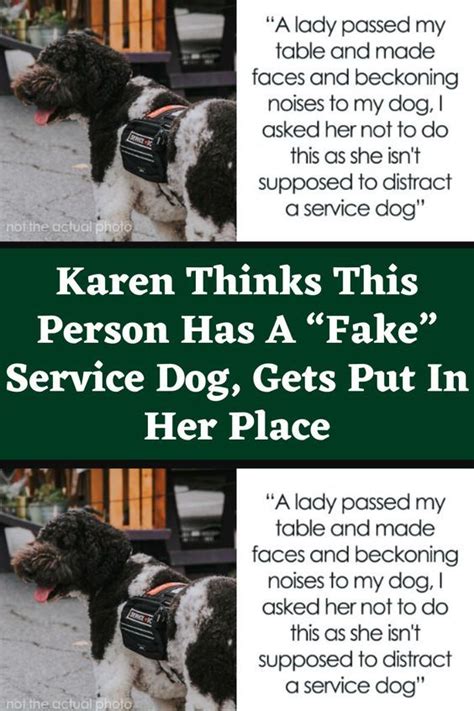 Fake Service Dog Meme