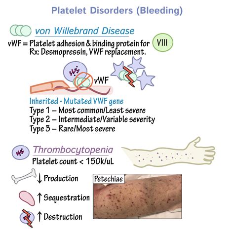 Faktor Platelet
