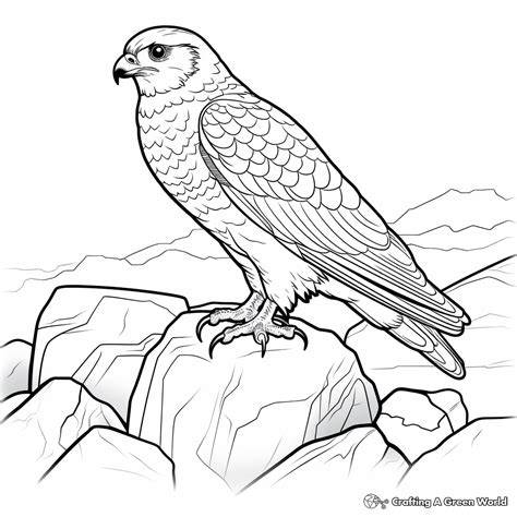 Falcon Coloring Pages