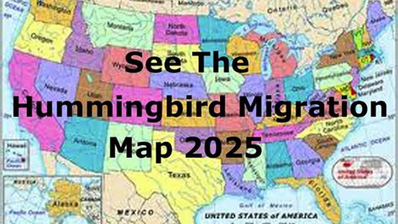 Fall Hummingbird Migration Map 2025