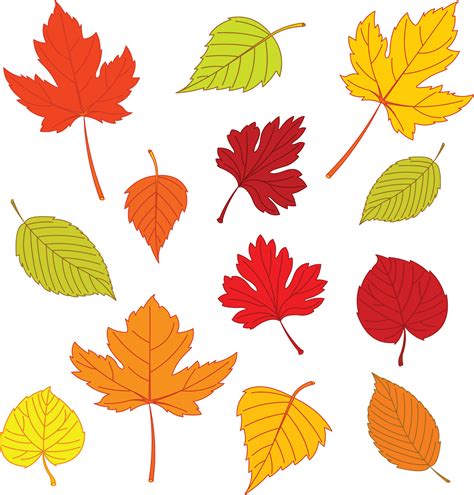 Fall Colored Leaves Printable