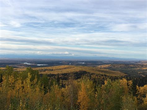 Fall Colors Fairbanks Trails