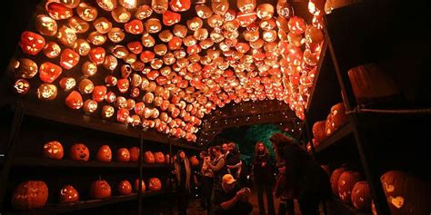 Fall Festivals Cape May