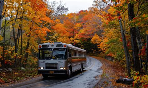 Fall Foliage Bus Tours 2024