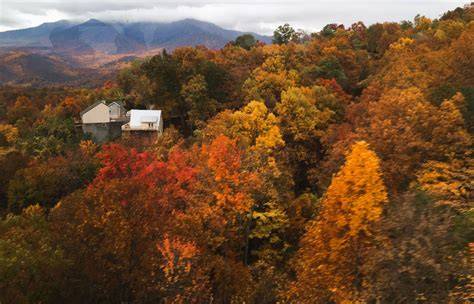 Fall Foliage Fiesta