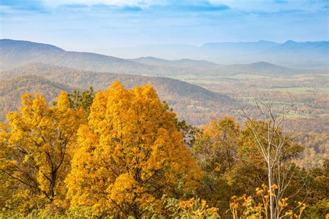 Fall Foliage In Virginia 2024