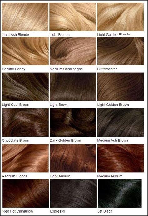 Fall In Love With Hair Color Chart Pinterest Colour Chart Updos