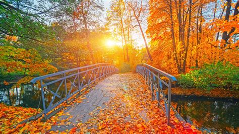 Discover the Exact Month of Fall: A Complete Guide