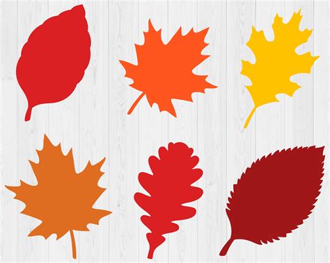 Autumn Splendor: Get stunning Free Fall Leaf SVG designs to add a touch of magic to your crafts!