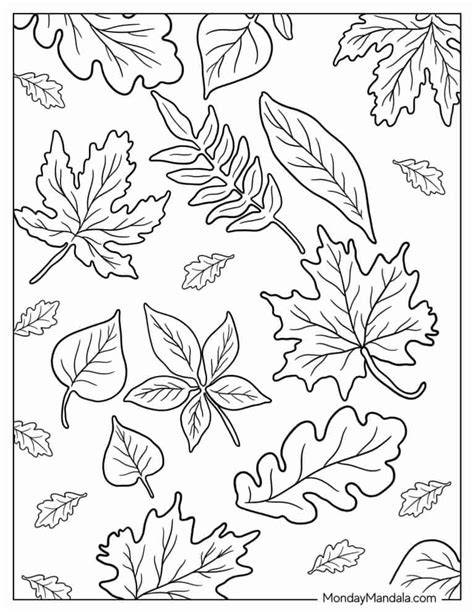 Fall Leaves Coloring Page