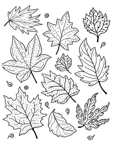 Fall Leaves Drawings To Color