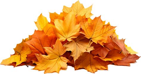 Fall Leaves Png