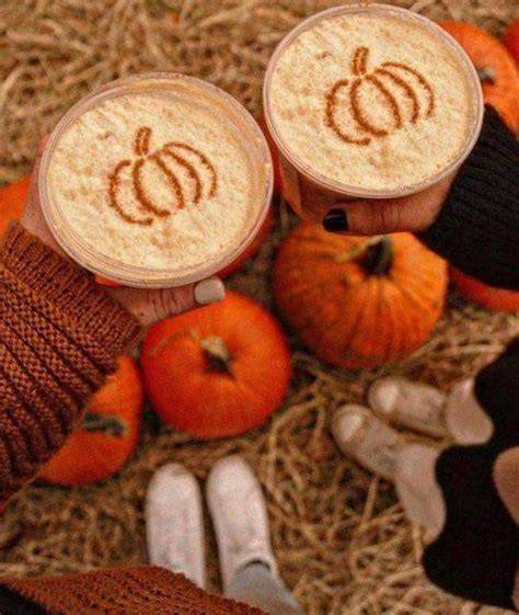 Fall PFP Trends