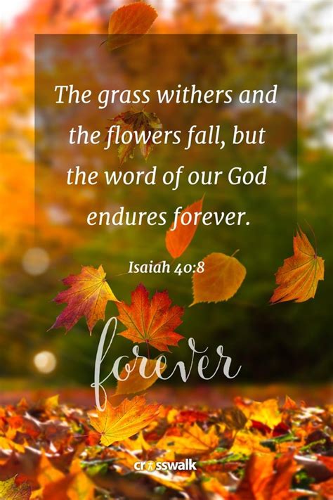 Fall Quotes Bible