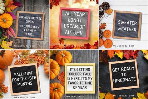 Fall Quotes Letter Board