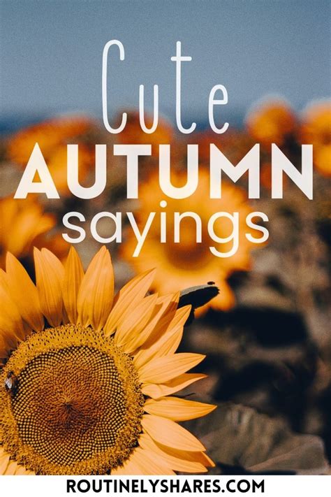 Fall Quotes Or Sayings