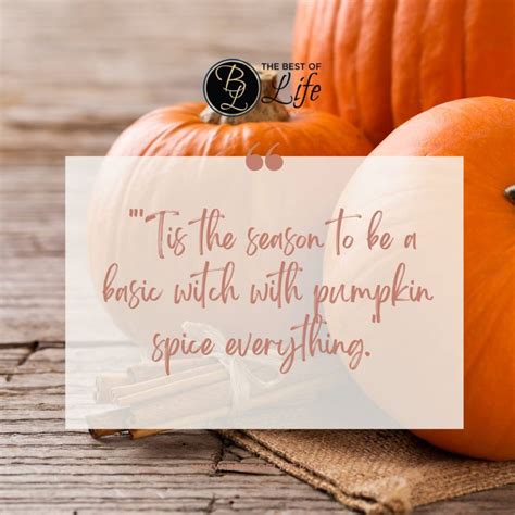Fall Quotes Pumpkin Spice