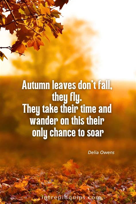 Fall Quotes Trees