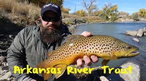 Fall Season, Arkansas River Fishing