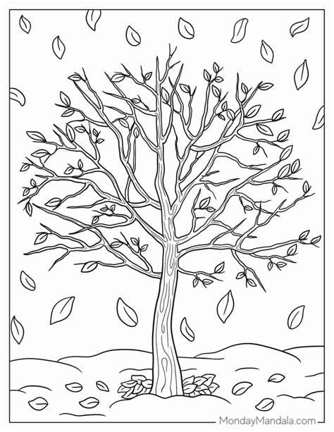 Fall Tree Coloring Pages For Kids