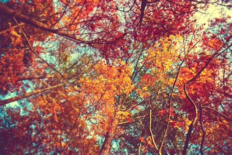 Fall Wallpapers Tumblr