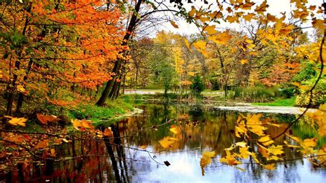 Fall Weather