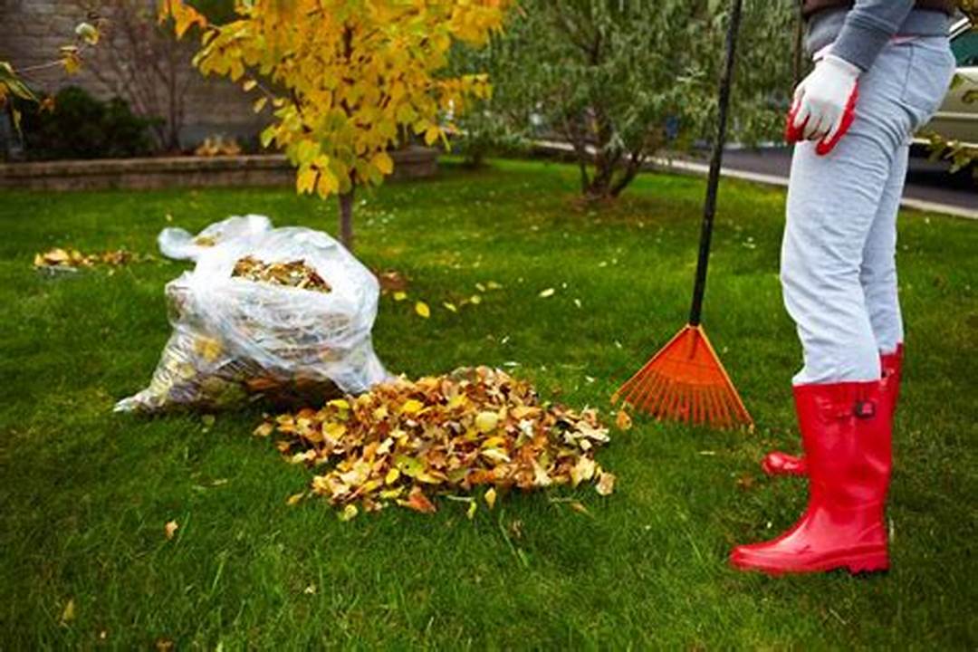 fall cleanup