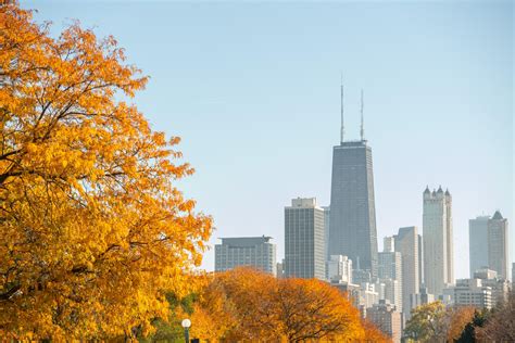 Fall in Chicago Suburbs