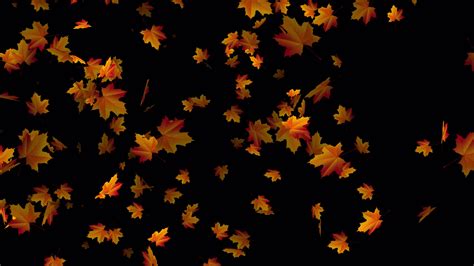 Falling Leaves Animation