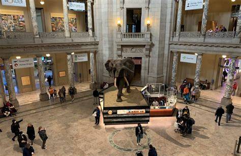 Families Museum Tour