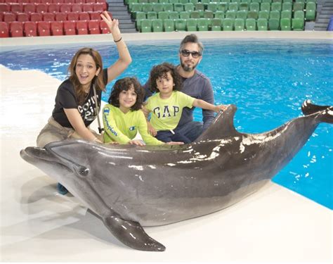 Family Dolphin Show